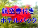 @ߔe q󌔕tzepbN iq󌔕tpbP[W