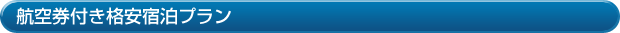 航空券付き格安宿泊プラン